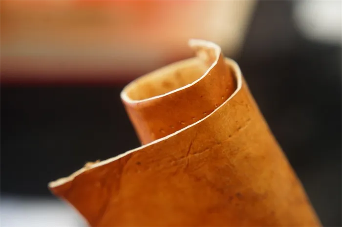 Кожа из грибов