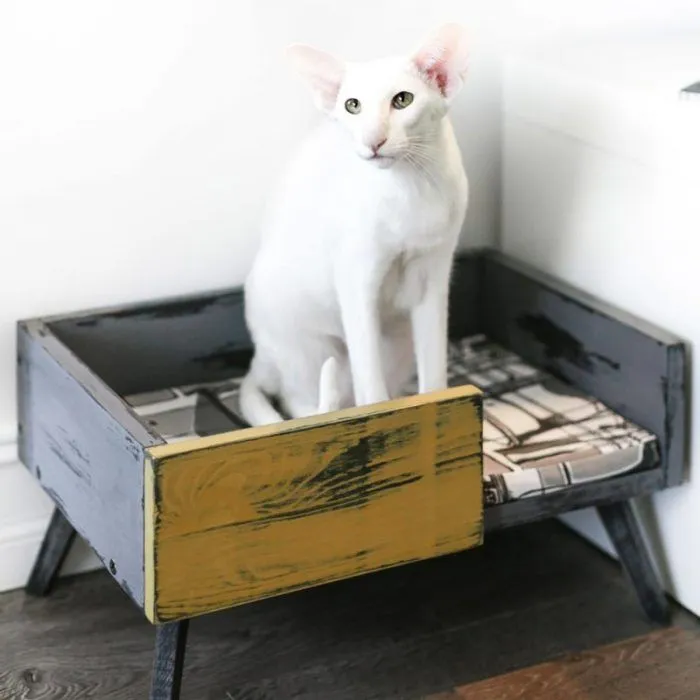 Совет: поиграйте с игрушкой для кошки