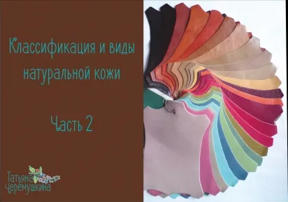 Сортовой и натуральный типы кожи. Часть 2