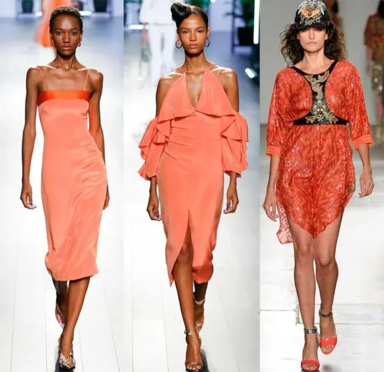 Какого цвета коралл3