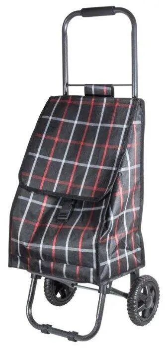 Рыжий кот D203eco