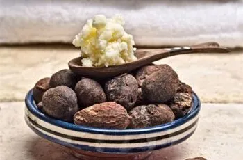 Свойства масла какао