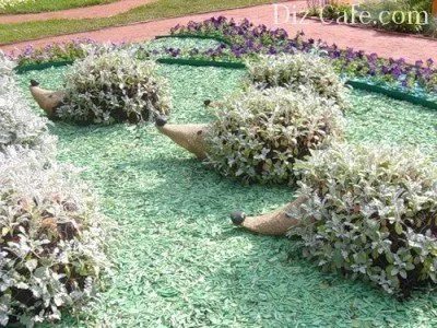 Σκαντζόχοιροι τοίχου